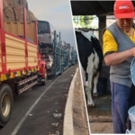 Arequipa pierde 750 000 L de leche al día por protestas
